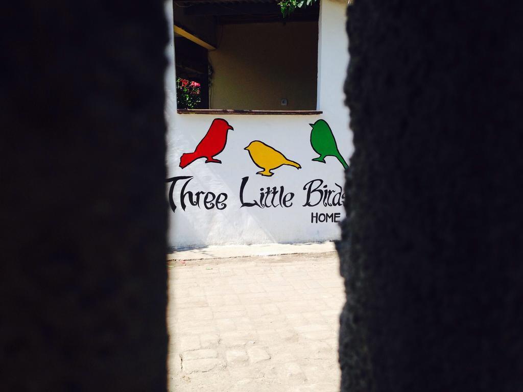 Three Little Birds Homestay Gili Trawangan Exterior foto