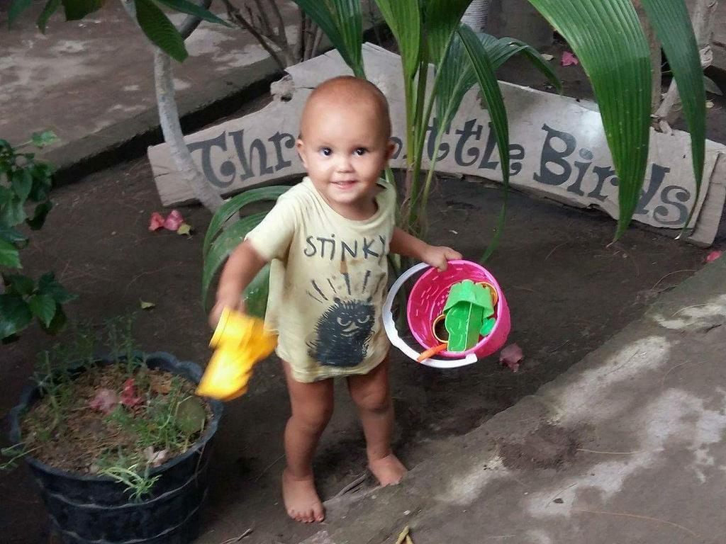 Three Little Birds Homestay Gili Trawangan Exterior foto