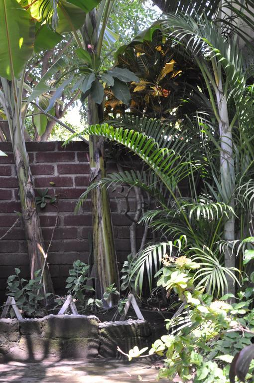 Three Little Birds Homestay Gili Trawangan Exterior foto
